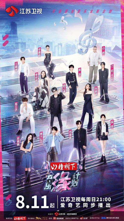 音乐缘计划,探寻心灵共鸣的奇妙旅程